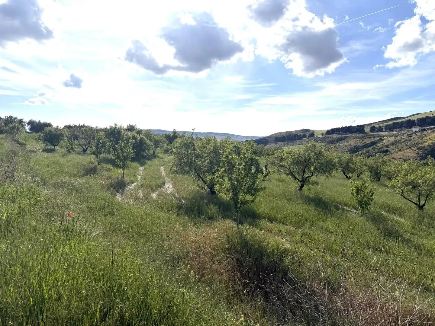 Rural land for sale in Lugar Poligono 7 Parcela 55, imagen 6
