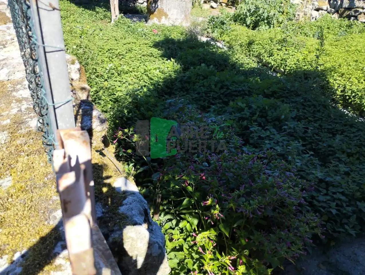 Maison avec jardin à vendre à Esgos, imagen 49