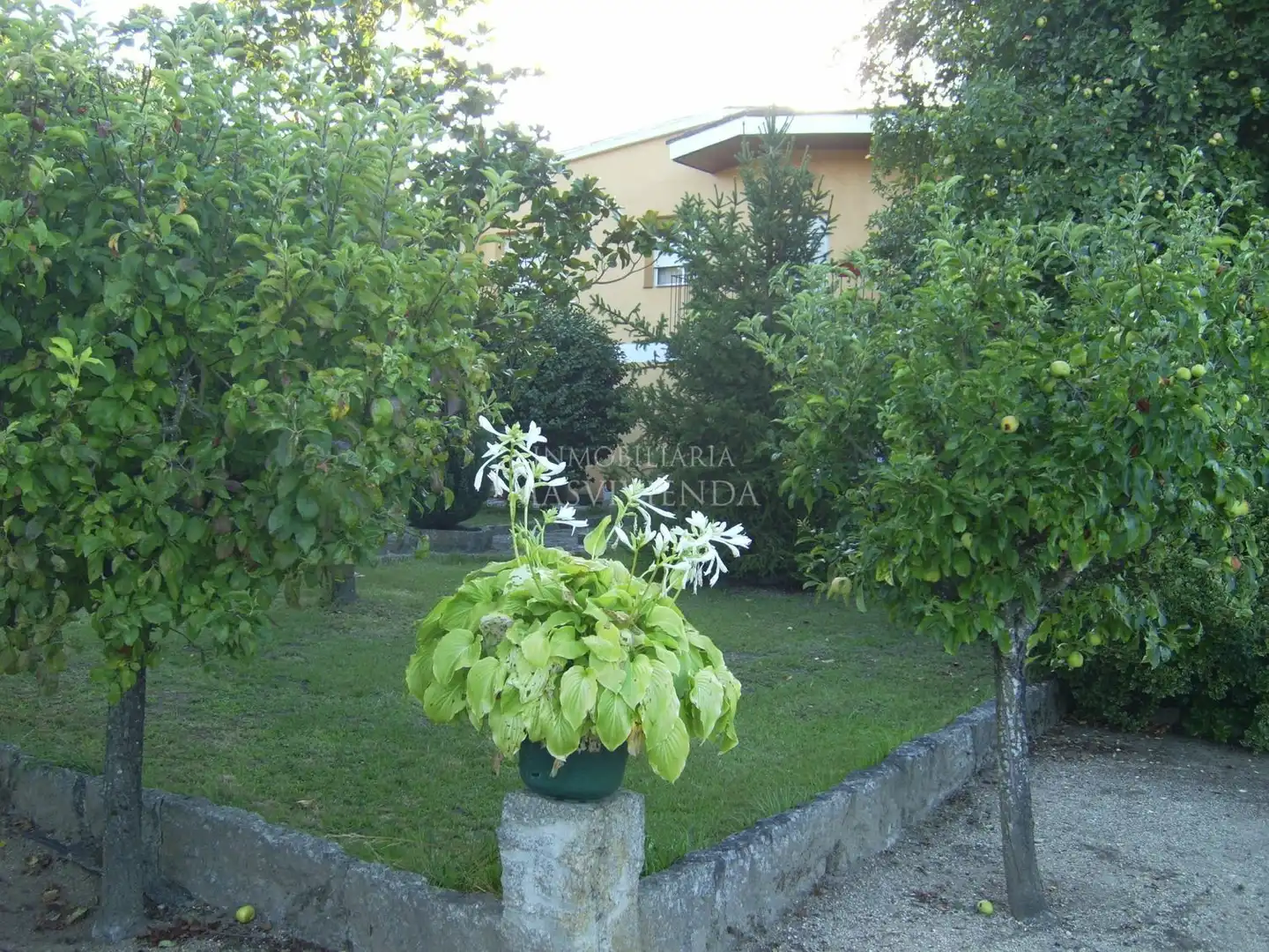 Jardín de Casa o chalet en venta en Leiro con Aire acondicionado, Terraza y Trastero