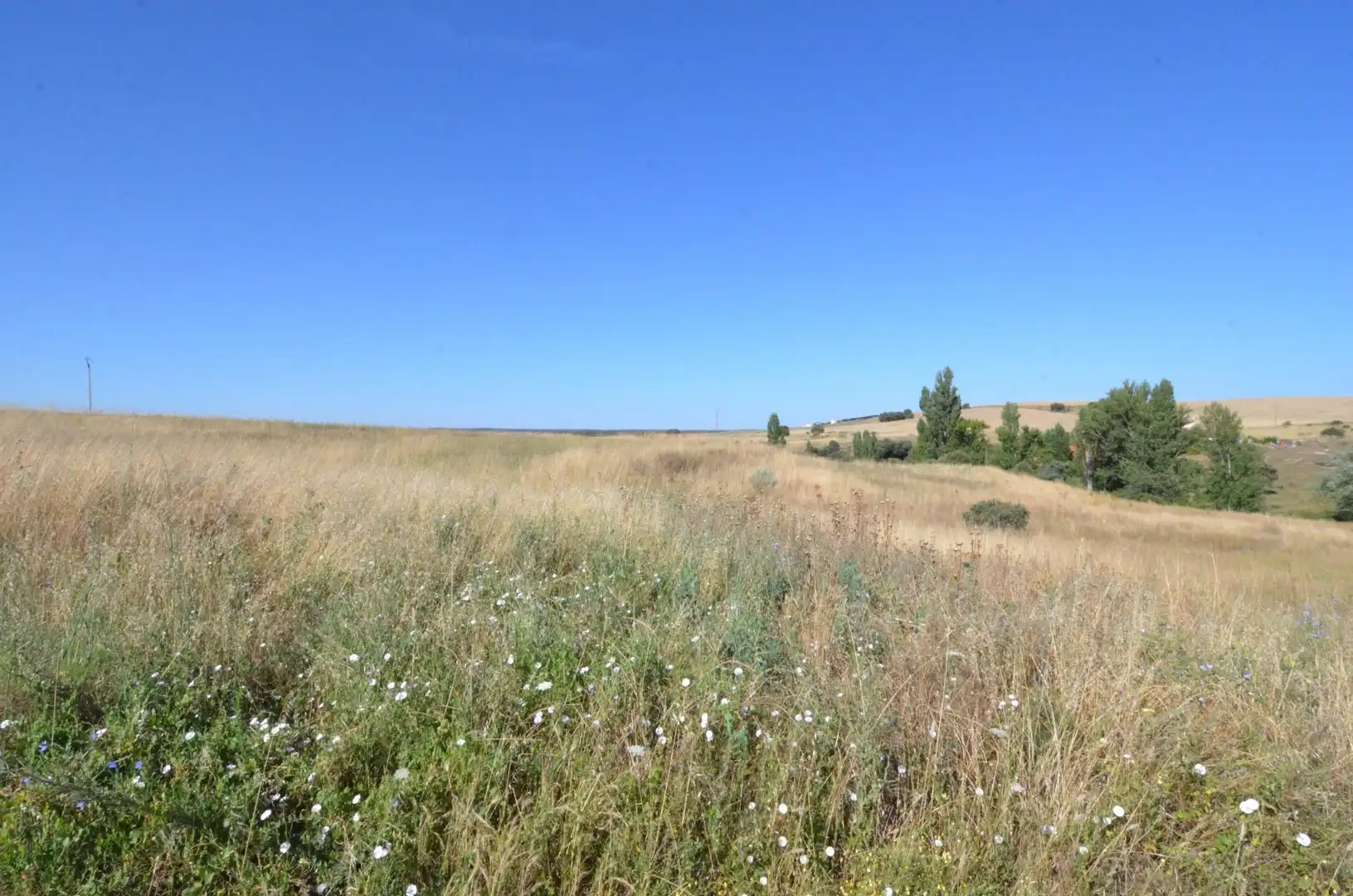 Rustikales Grundstück zum Verkauf in Almenara de Tormes, imagen 2