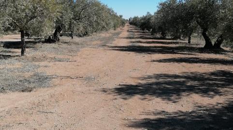 Photo 2 of Land for sale in N/a, -1, Los Remedios, Sevilla