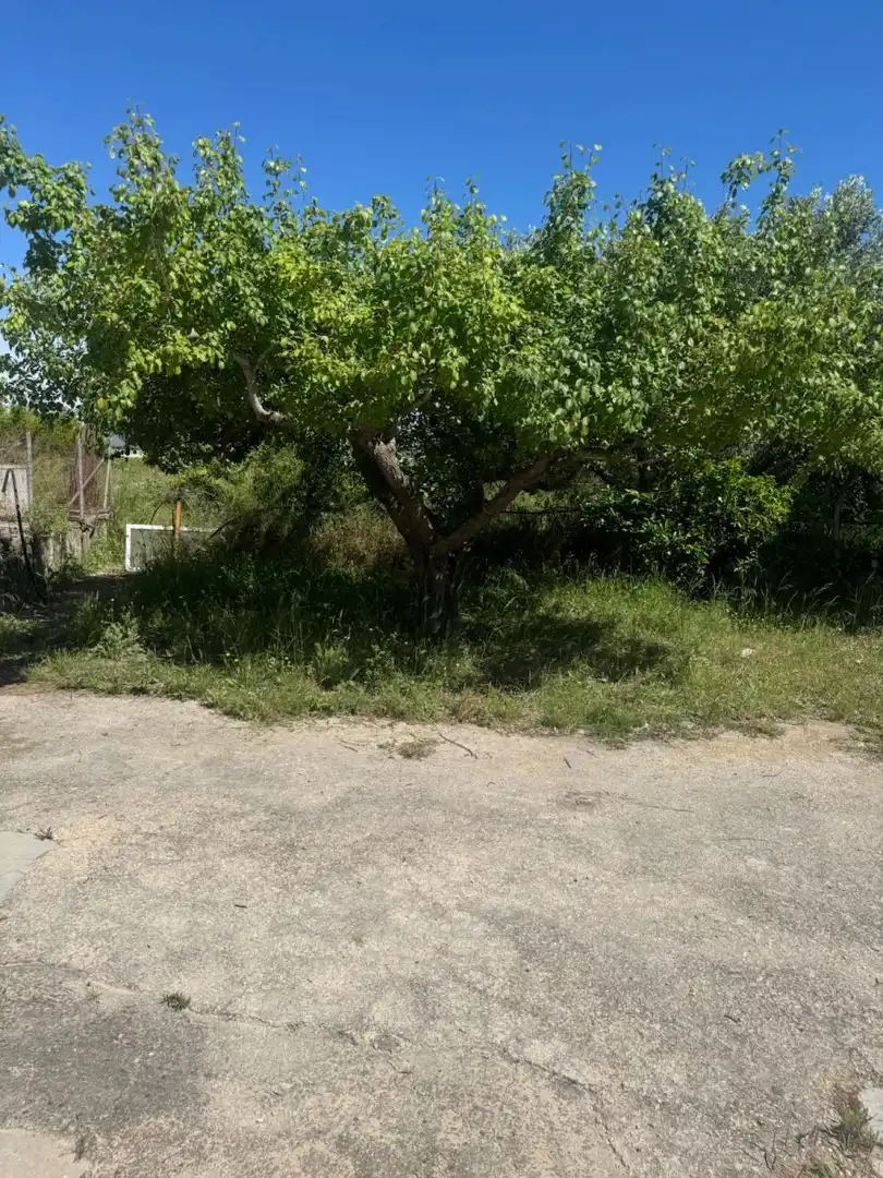Maison rustique avec piscine à vendre à Albaida, imagen 19