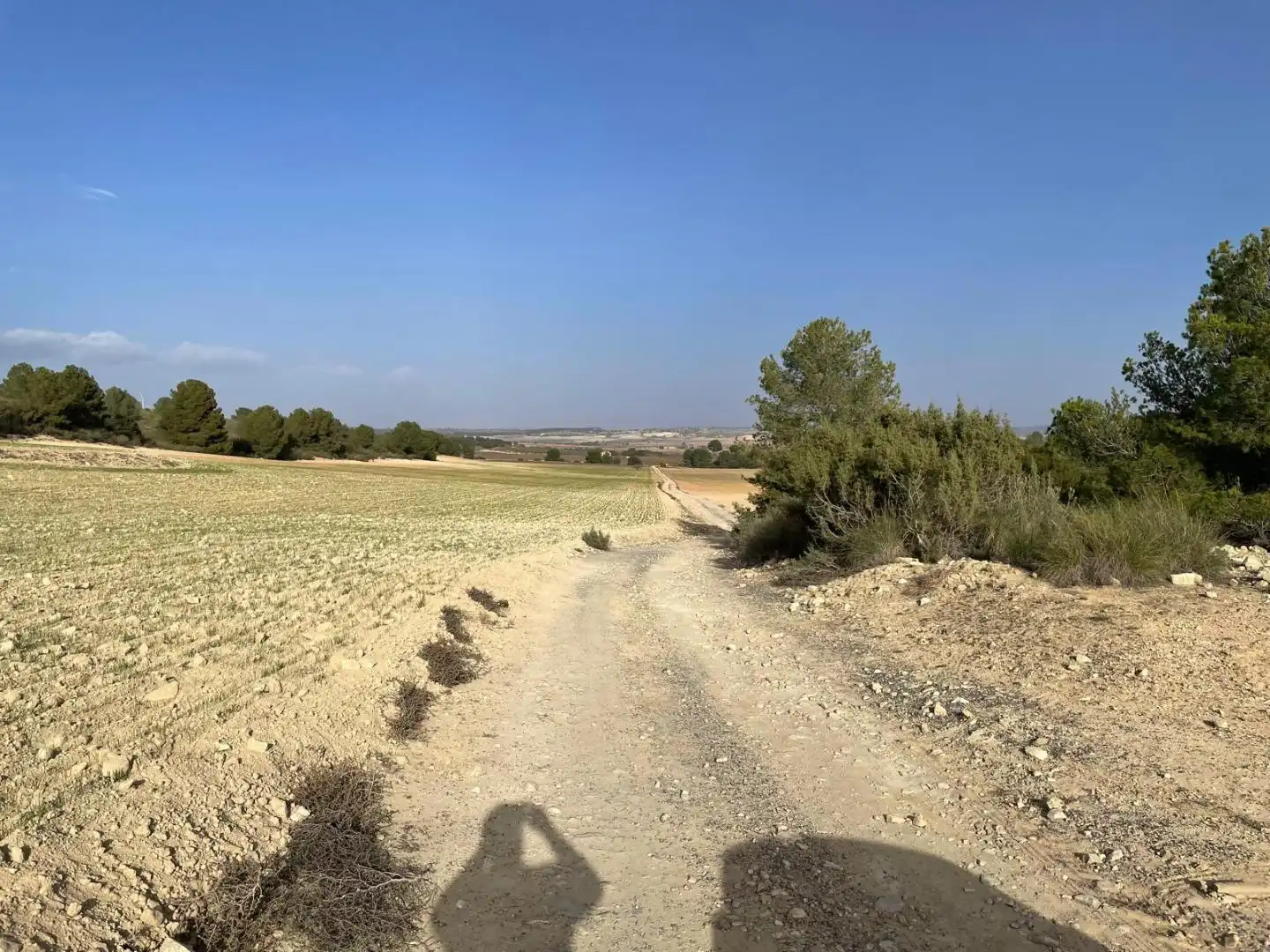 Terreni e lotti in vendita a La Milagrosa, imagen 10