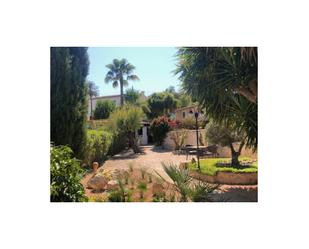 Jardí de Casa o xalet en venda en Calvià amb Aire condicionat, Calefacció i Jardí privat