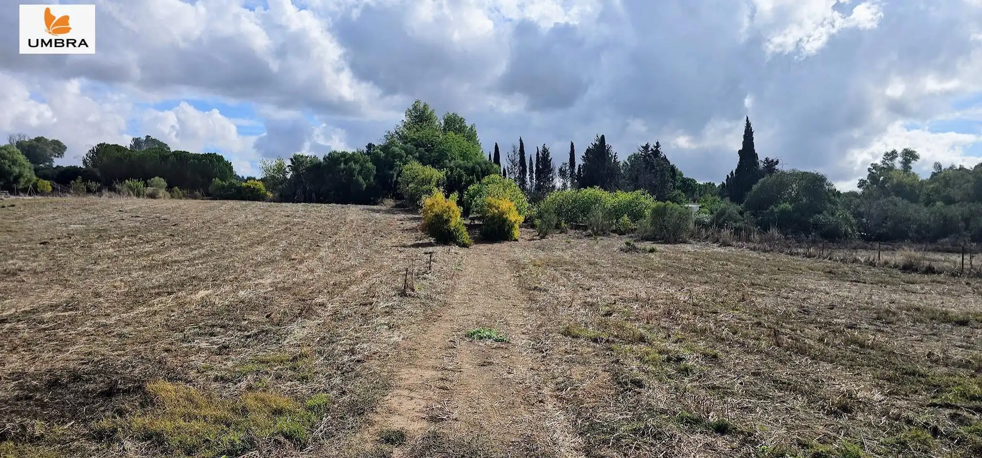 Houses for sale in Jerez de la Frontera