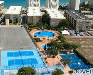 Swimming pool of Apartment to rent in El Campello  with Terrace, Furnished and Community pool
