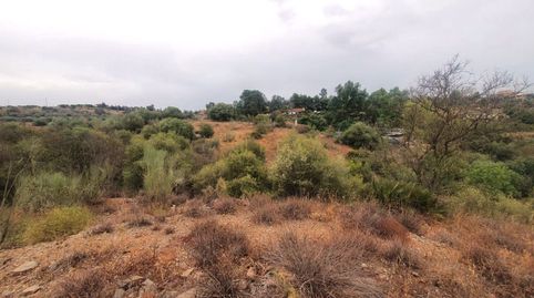 Finca Rúst. en venta en Santa Rosalía-Maqueda.