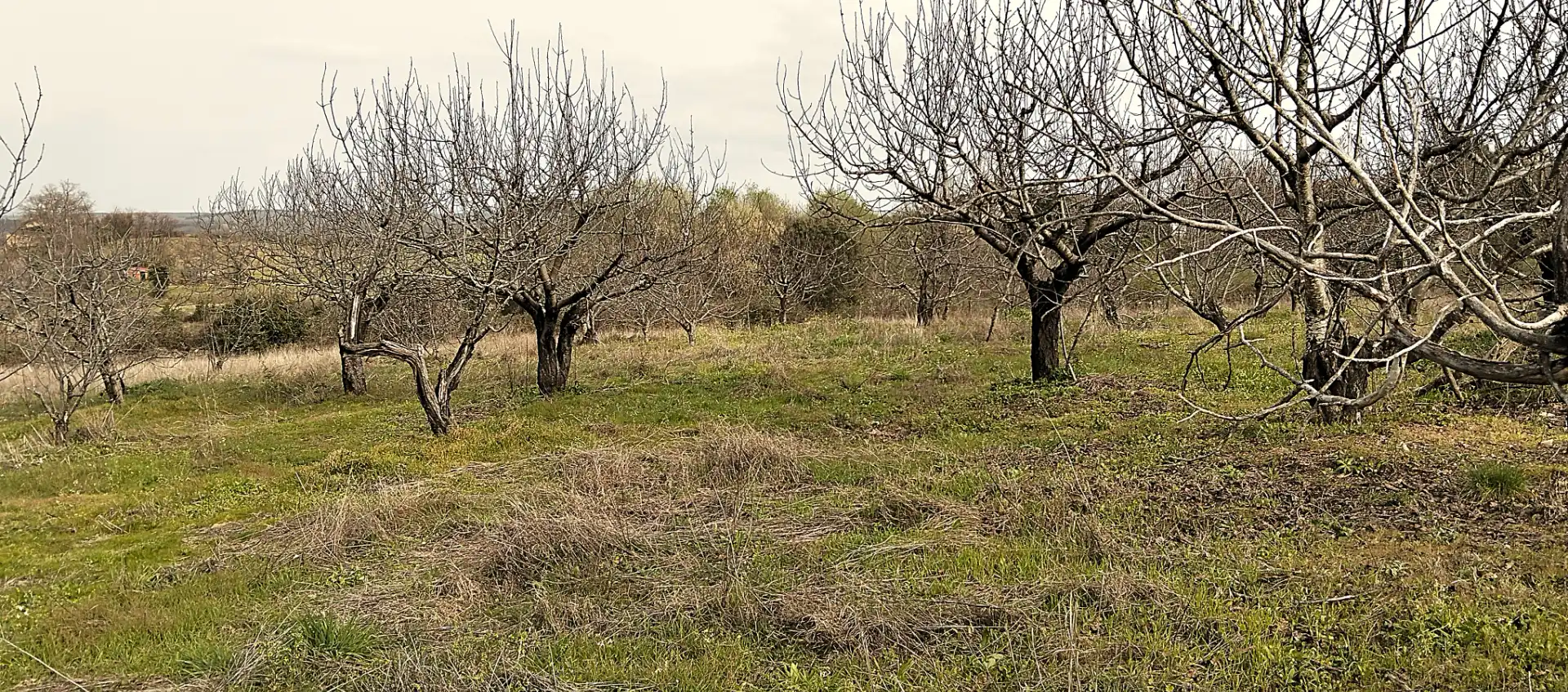 Terreno en venta en Collado de la Vera