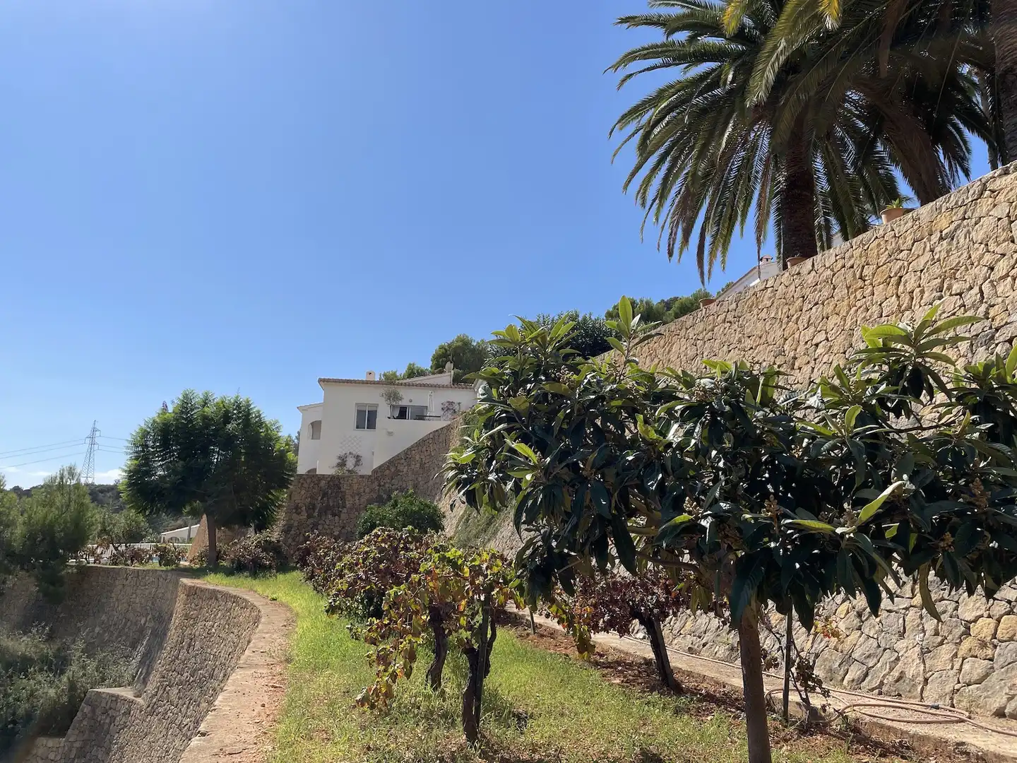 Maison à vendre à Zona Pueblo, imagen 35