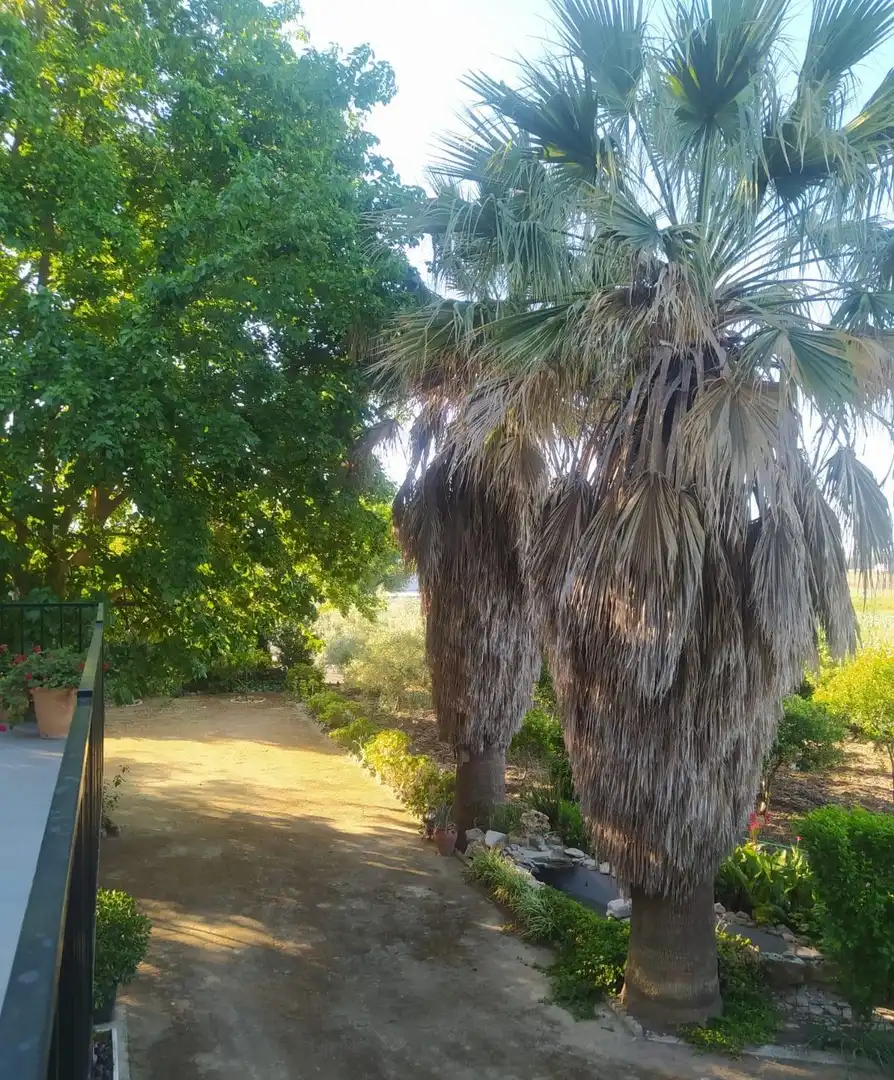 Terreni e lotti in vendita a Villamartín, imagen 20