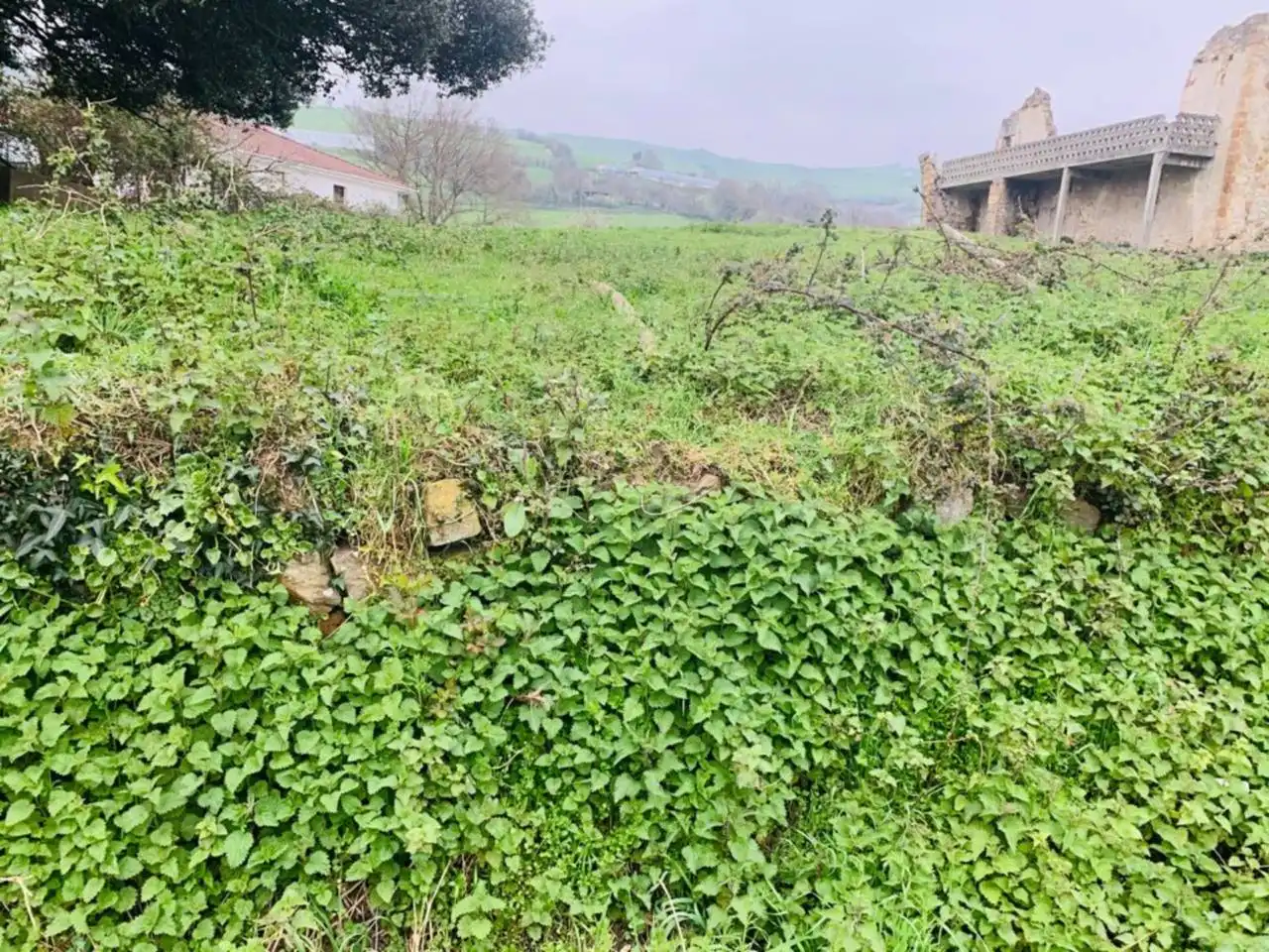 Maison rustique à vendre à Karrantza Harana/Valle de Carranza, imagen 2