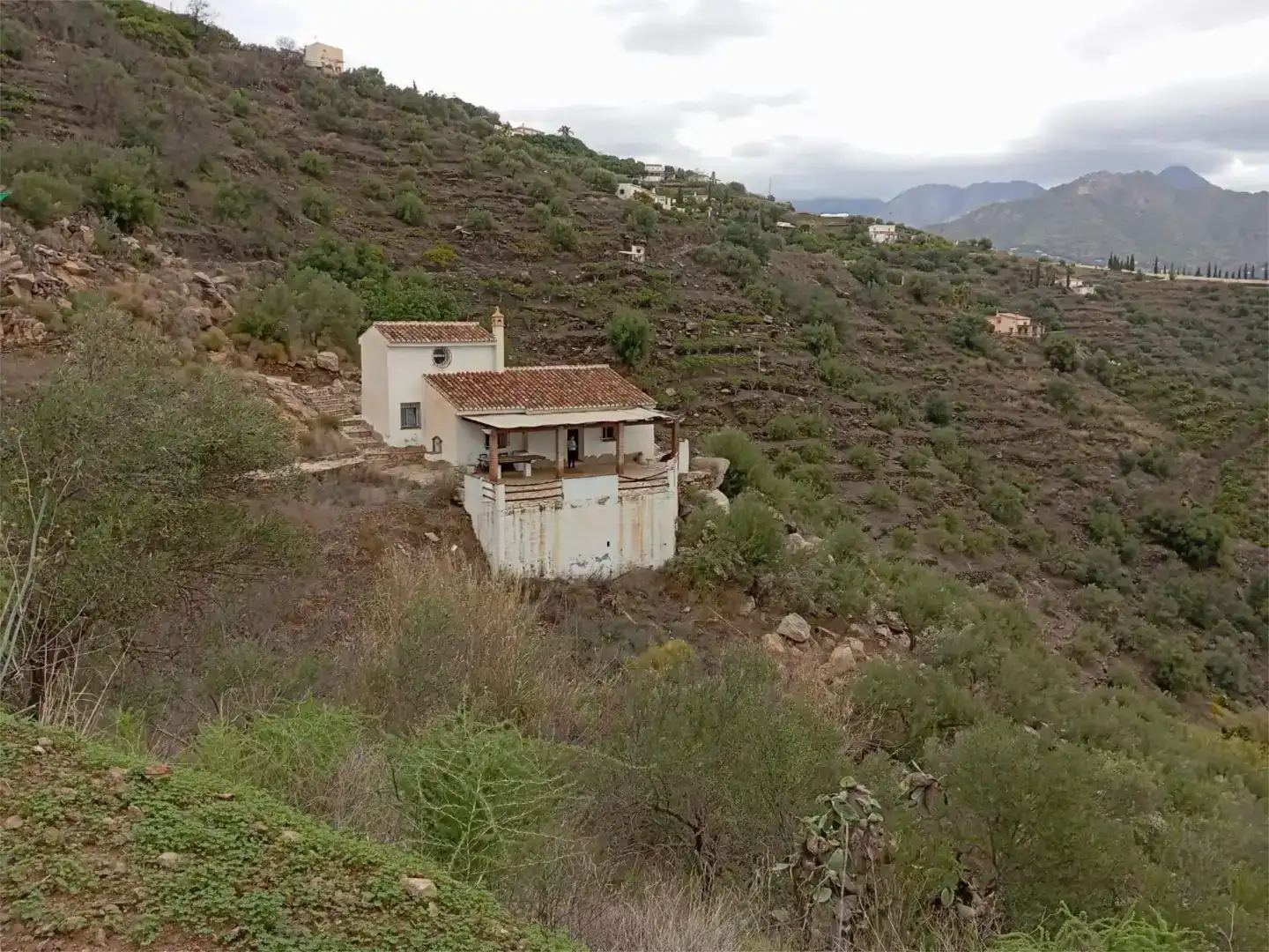 Exterior view of Houses for sale in Torrox