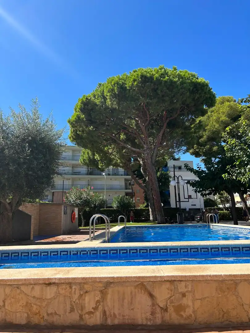 Swimming pool of Flat for rent in Can Toni