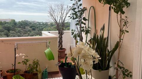 Foto 4 de Piso en venta en Avenida de la Alcúdia, Río Real, Málaga