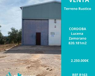 Exterior view of Land for sale in Lucena