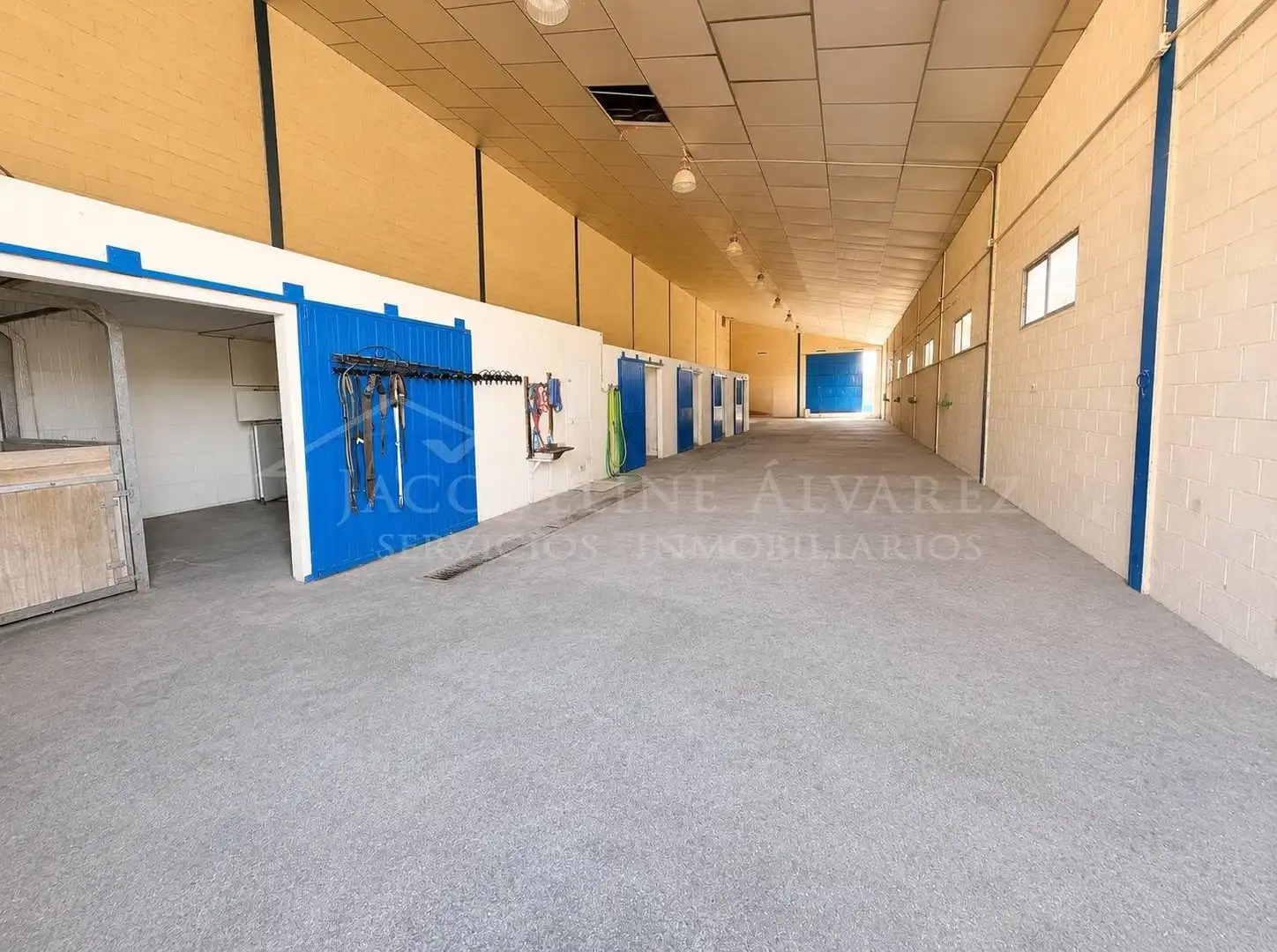 Finca rústica en venta en Yeles con Jardín privado