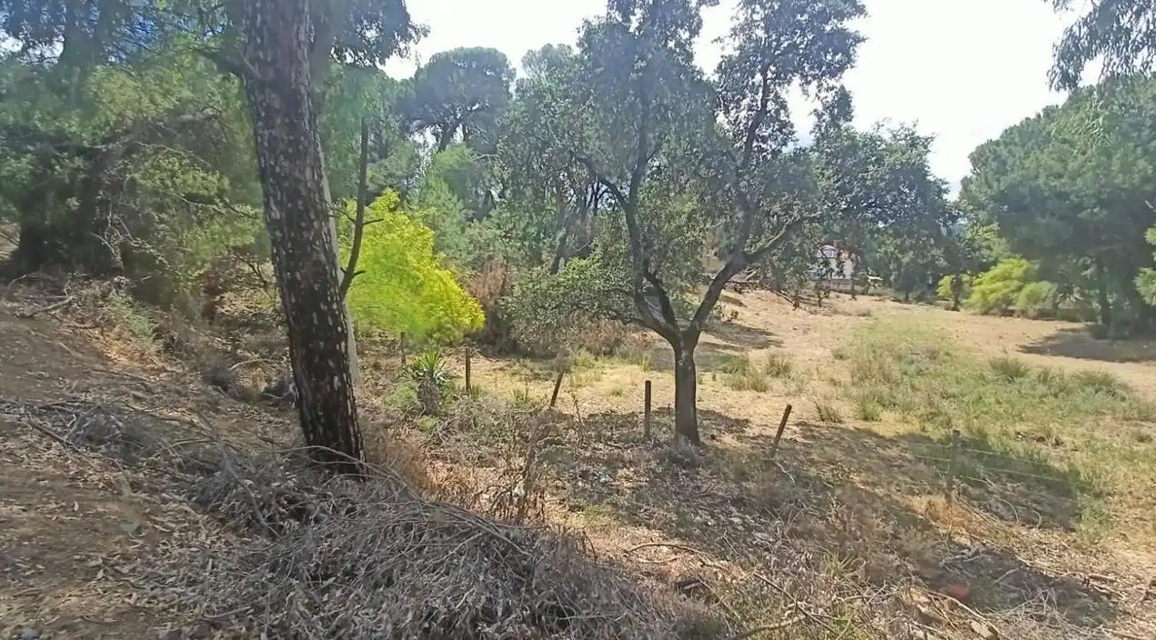 Lands and plots for sale in Campamento, imagen 13