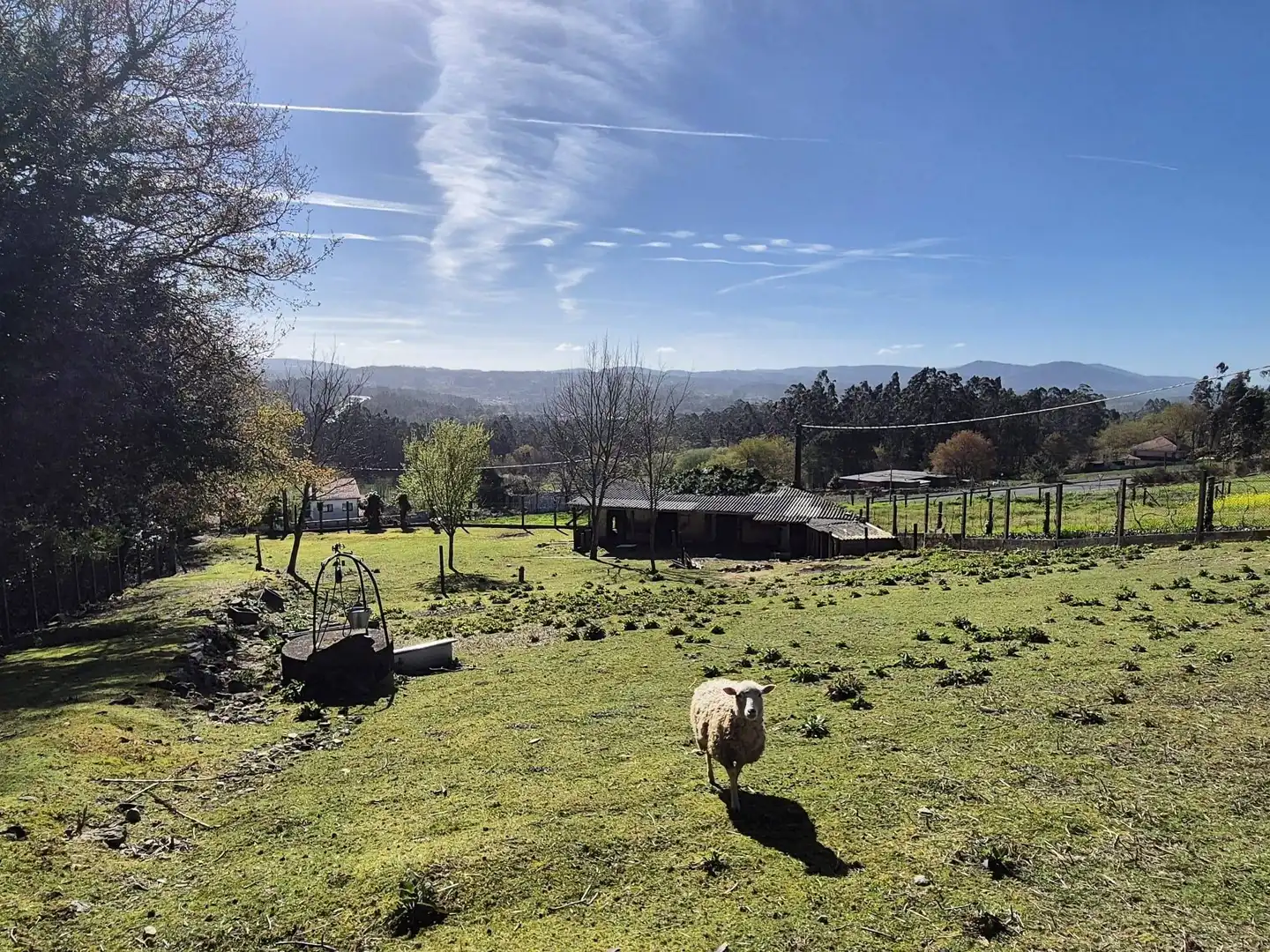 Vista exterior de Casa o xalet en venda en Ames amb Jardí privat