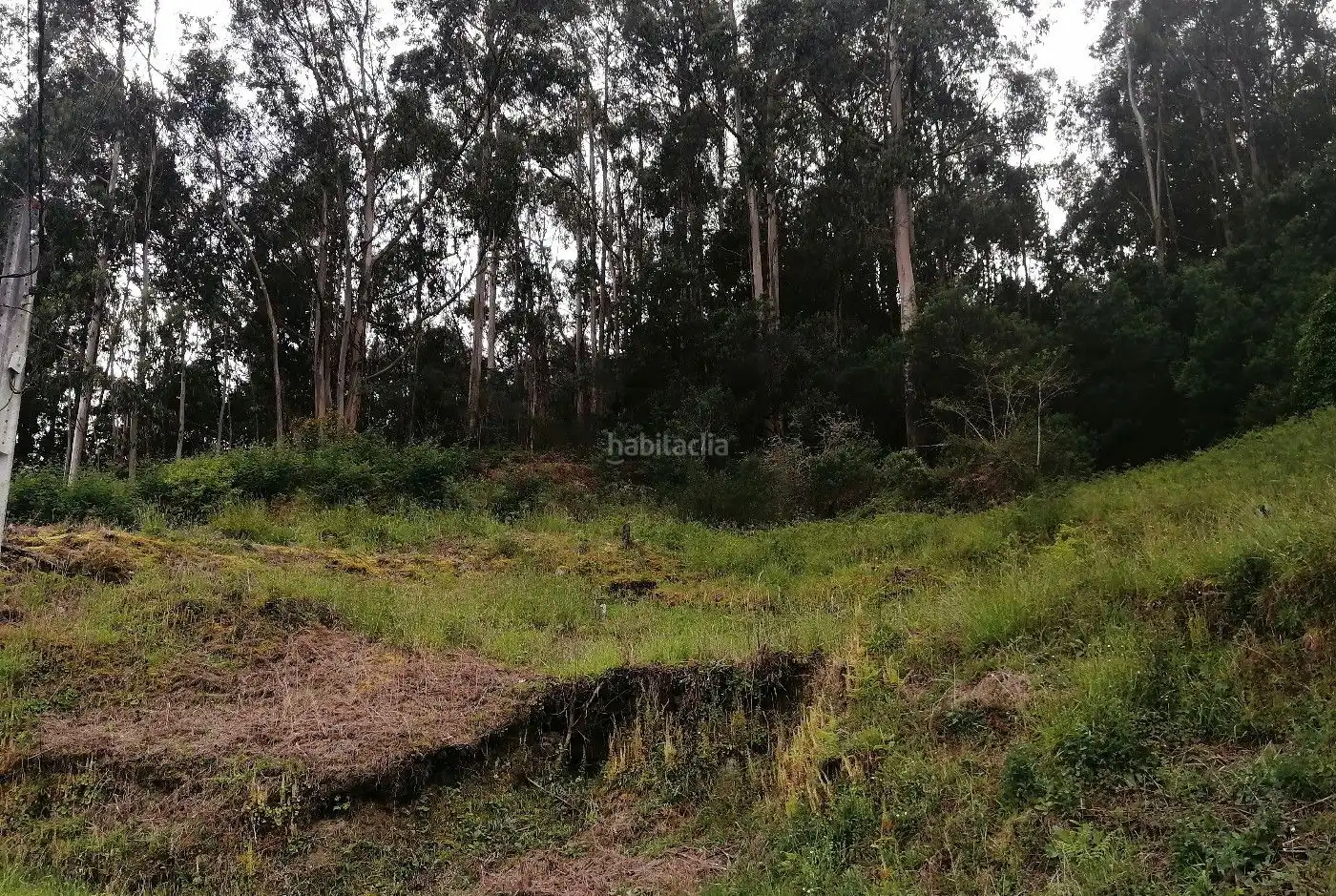 Grundstücke und Bauplätze zum Verkauf in Camiño da Cabadiña 1, imagen 4