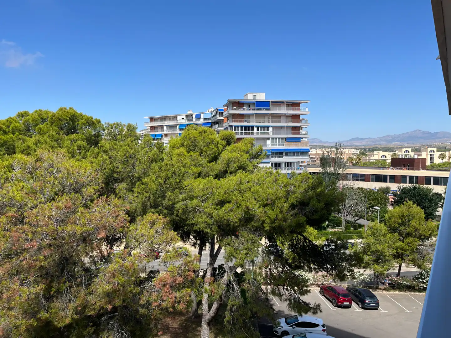Vista exterior de Piso en venta en Alicante / Alacant con Terraza, Trastero y Amueblado