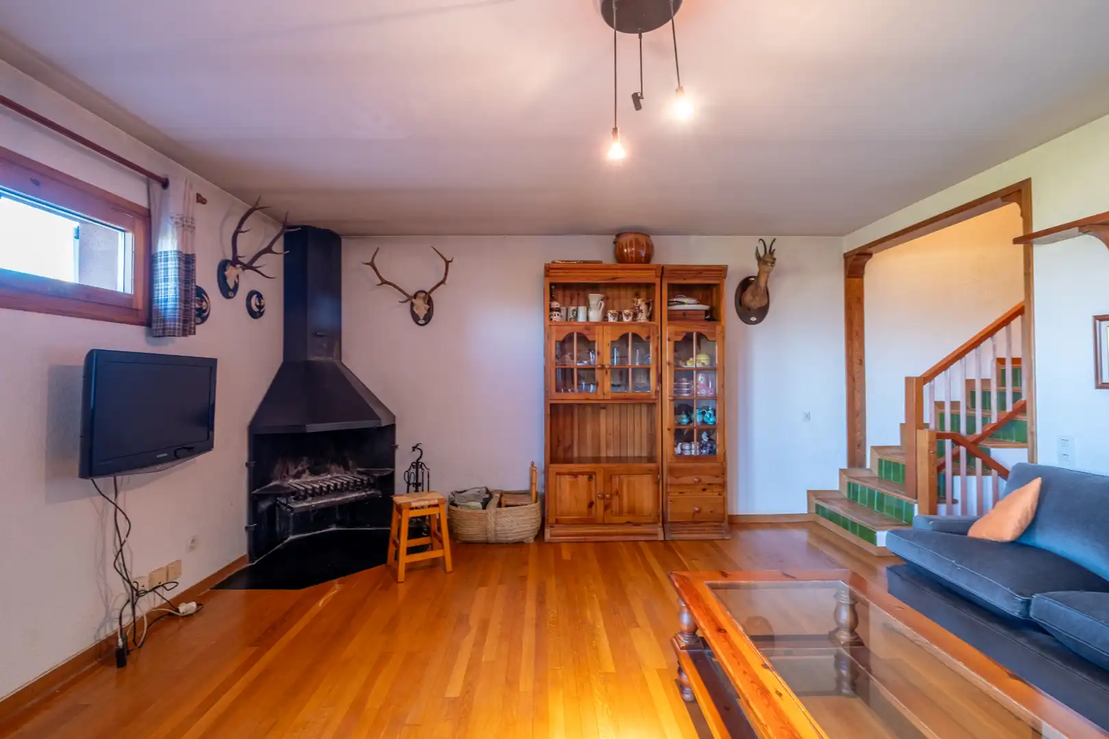 Sala d'estar de Casa adosada en venda en Alp amb Calefacció, Jardí privat i Parquet