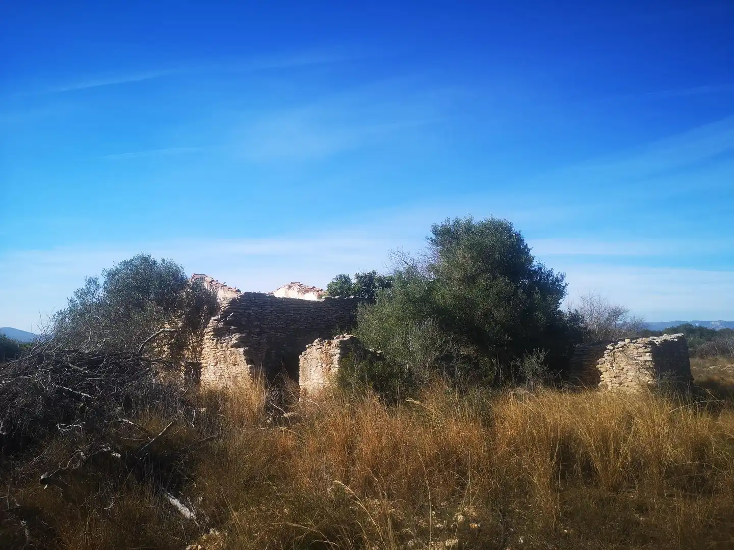 Terreno rustico in vendita a Traiguera, imagen 12
