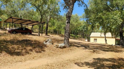 Foto 4 de Casa o xalet en venda a Fuencaliente, Ciudad Real