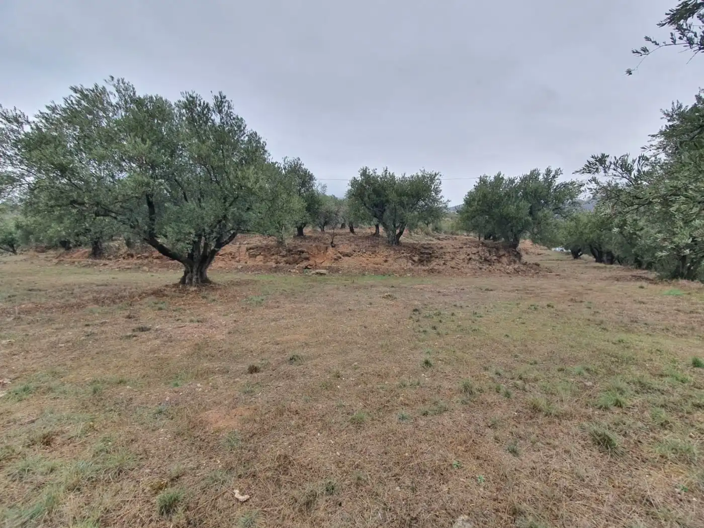 Casa rústica en venda a Fondón, imagen 15