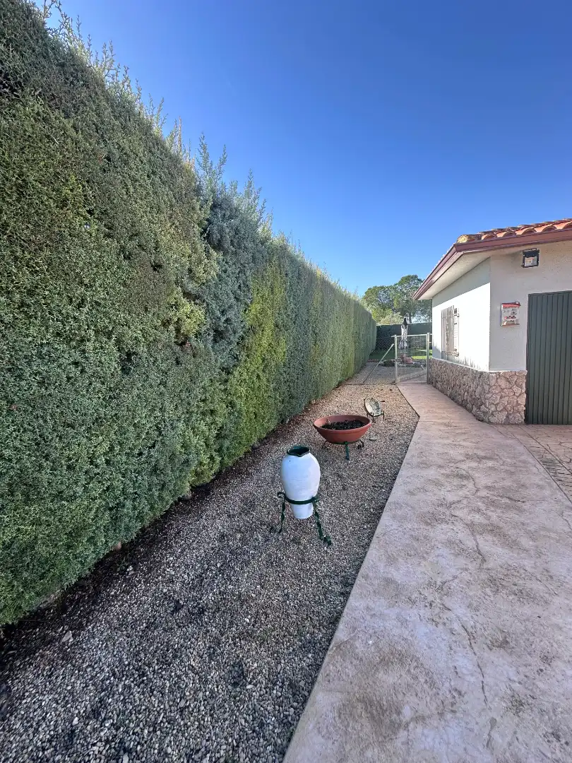 Jardí de Casa o xalet en venda en Illana amb Aire condicionat, Calefacció i Jardí privat