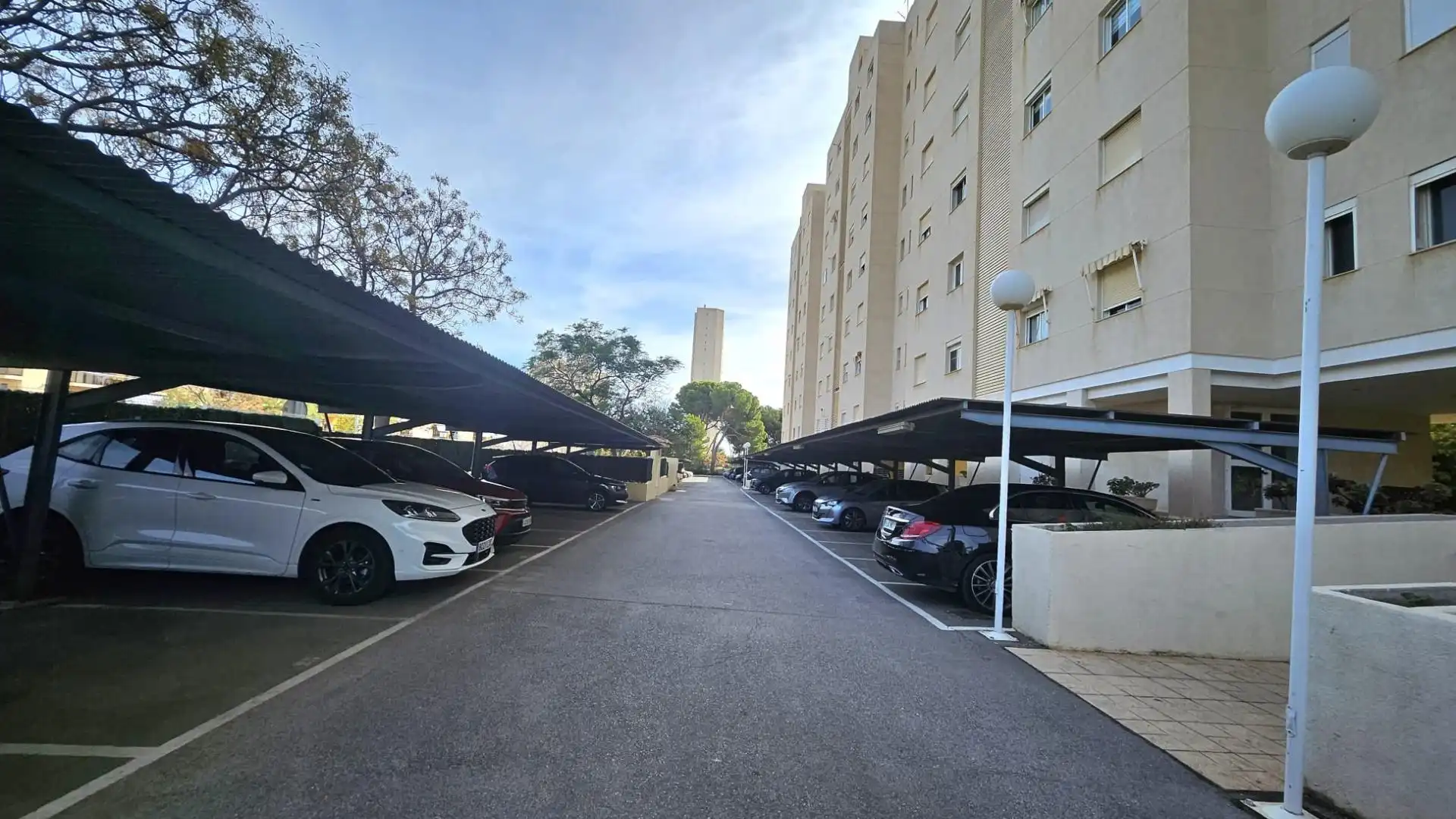 Apartments for rent in Playa Muchavista