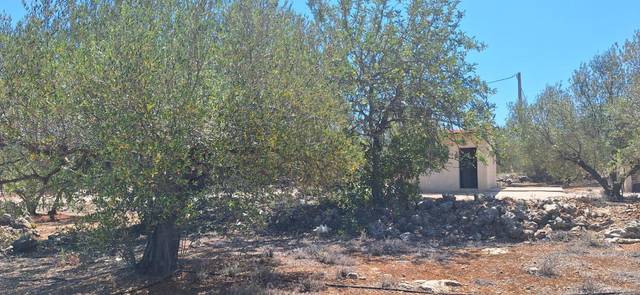 Terreno residencial en Venta en Chella