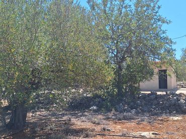 Terreno residenziale in vendita a Chella