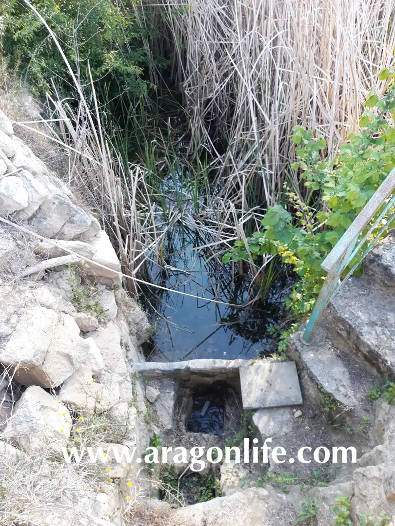 Jardín de Finca rústica en venta en Calaceite