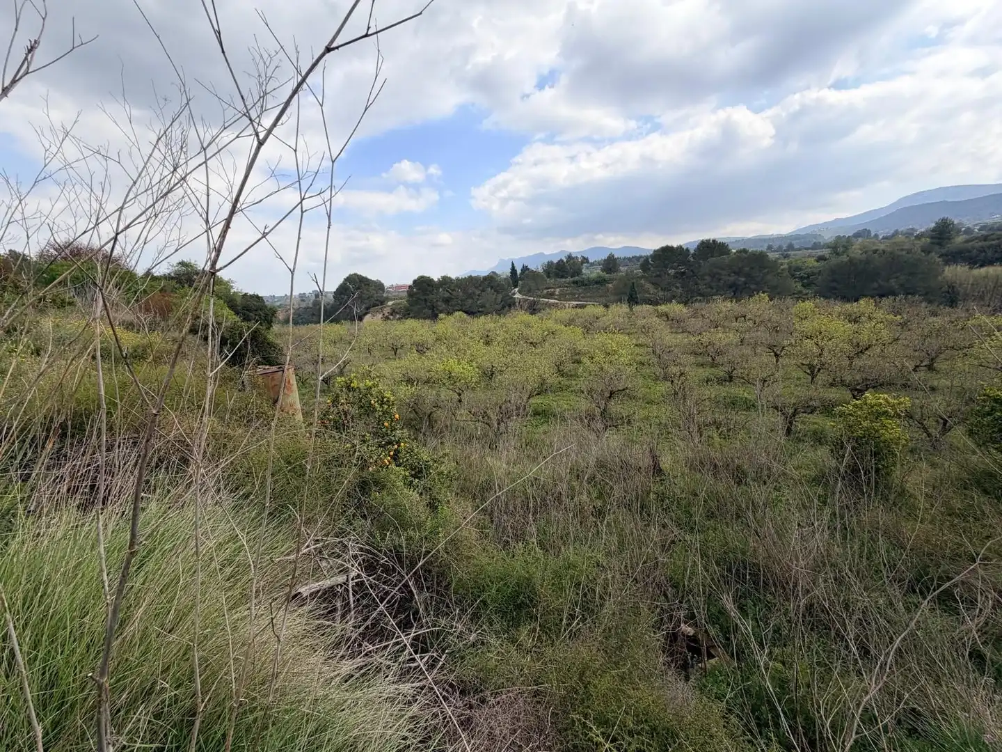 Rural land for sale in Benissoda, imagen 7