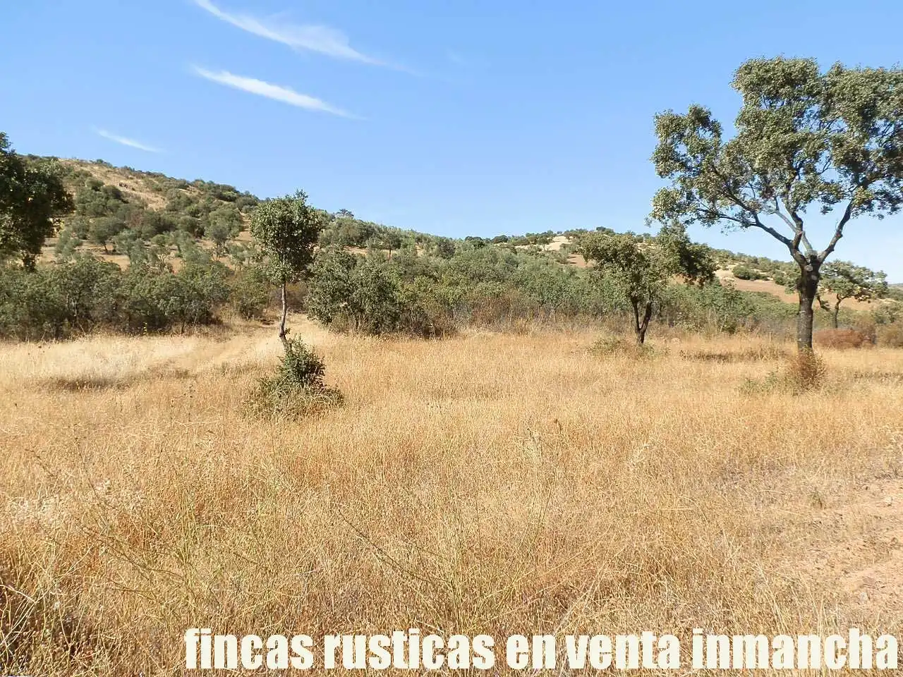 Terreny rústic en venda a Fuente el Fresno, imagen 9