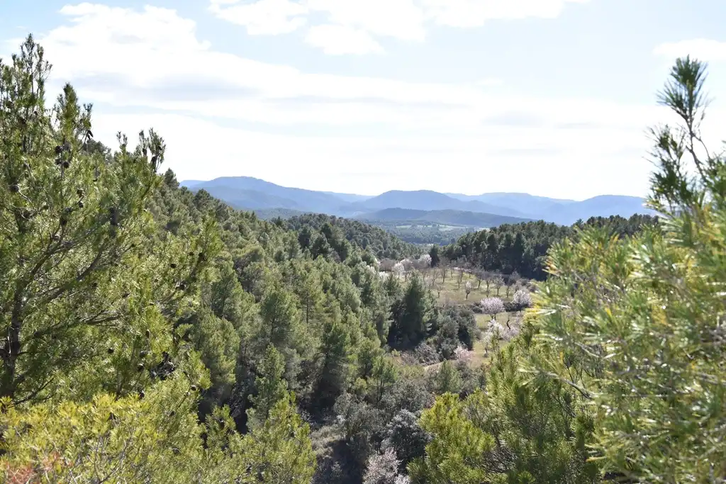 Land for sale in Fuentespalda