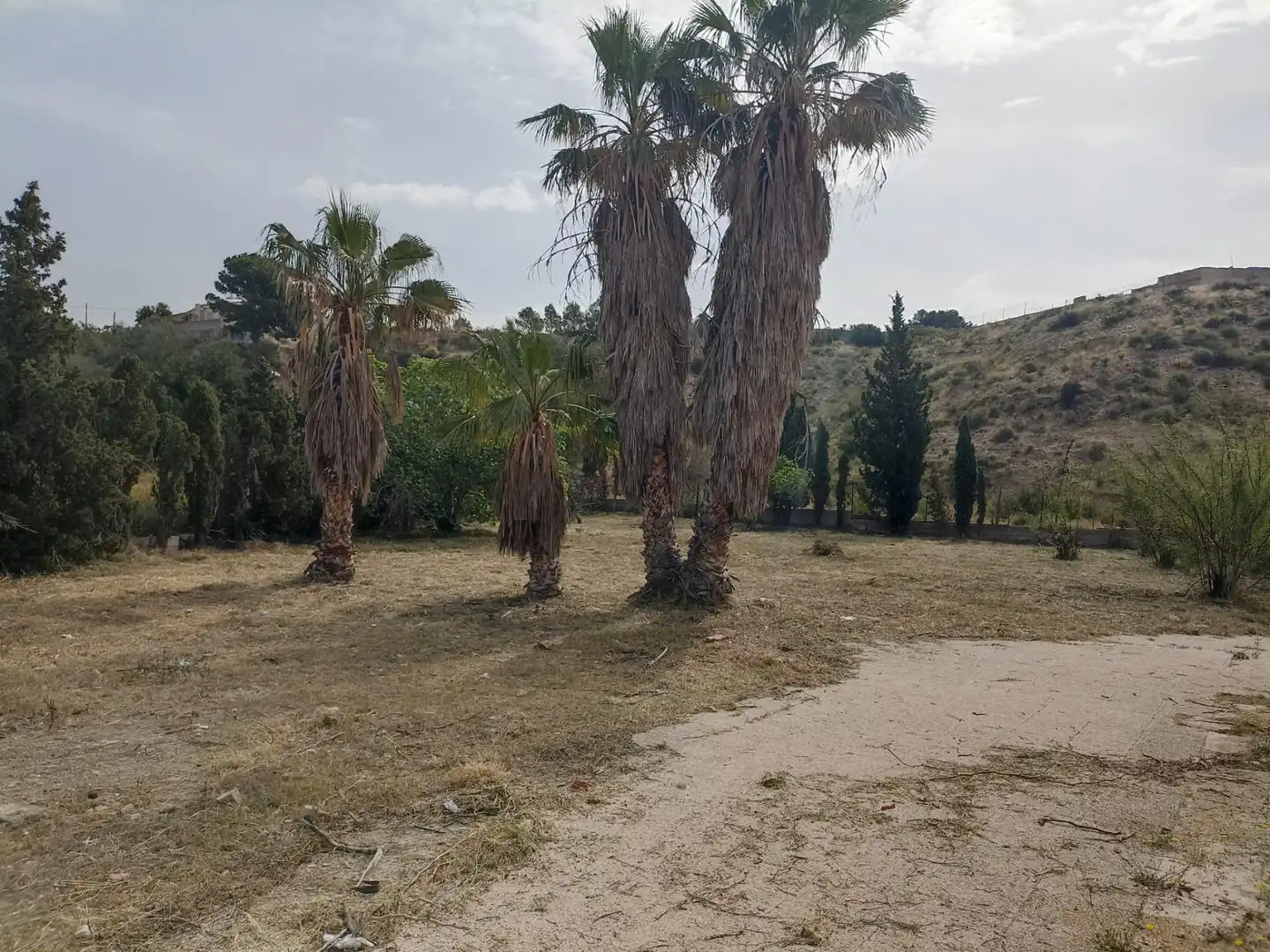 Houses for sale in Alicante / Alacant  with Private garden and Terrace