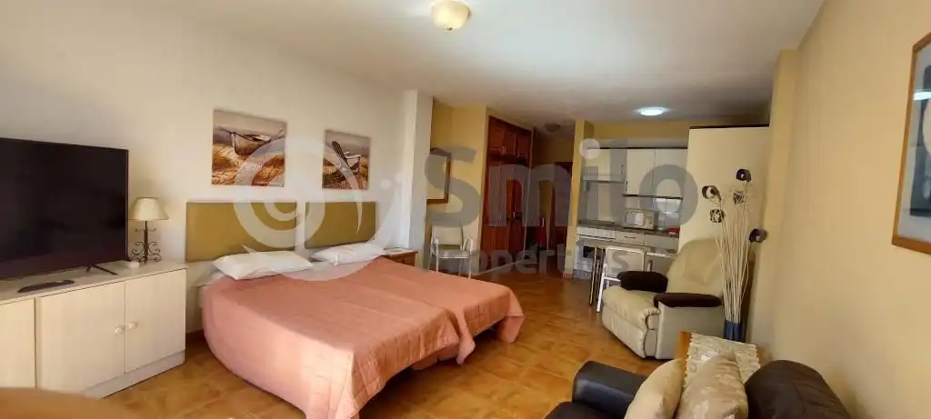 Estudi amb piscina en venda a Antonio Navarro 1, imagen 7