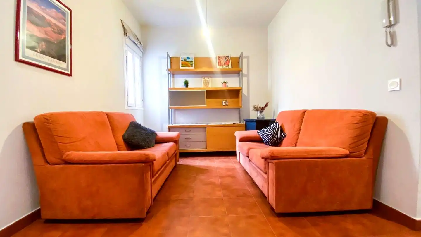 Sala d'estar de Pis per a compartir en Centro