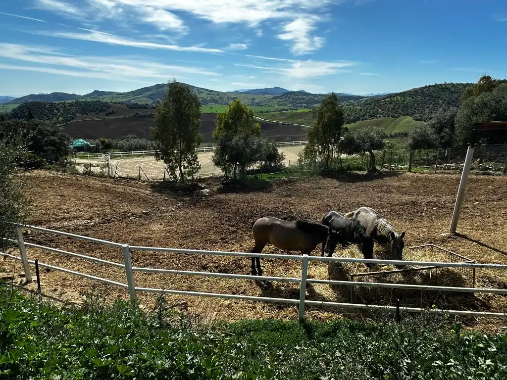 Casa rústica en venda a Almogía, imagen 41