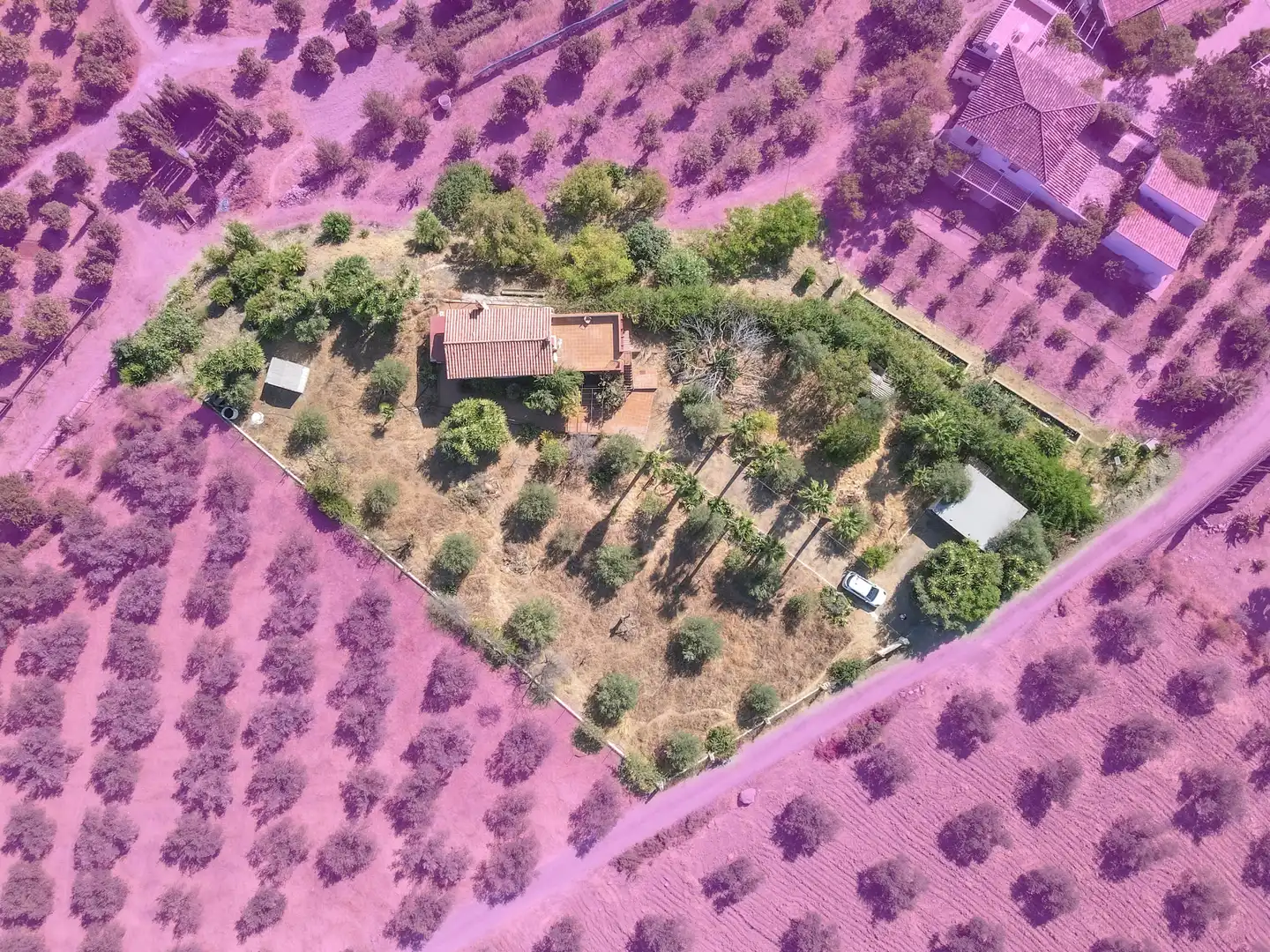 Casa o xalet en venda en Casarabonela amb Jardí privat