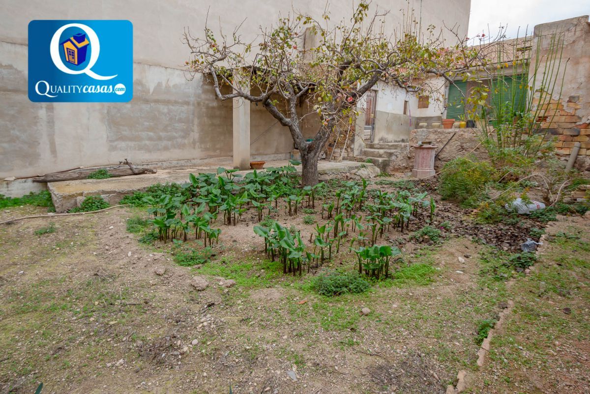 Jardí de Casa o xalet en venda en San Vicente del Raspeig / Sant Vicent del Raspeig amb Traster
