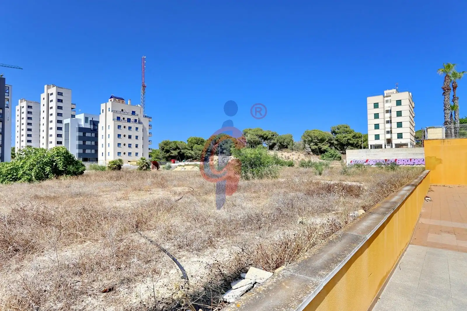 Commercial properties for sale in Guardamar del Segura