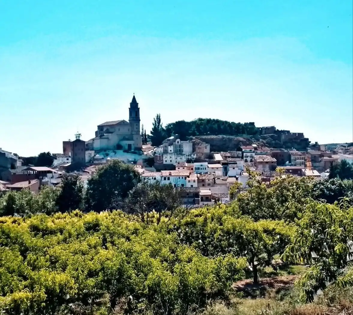 Appartamento in vendita a Carretera de Alcañiz 22, imagen 15
