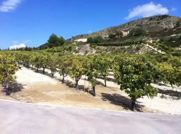 Lands and plots for sale in LA SERRETA POLIGONO