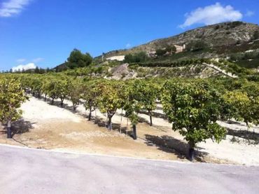 Terrenys i solars en venda a LA SERRETA POLIGONO