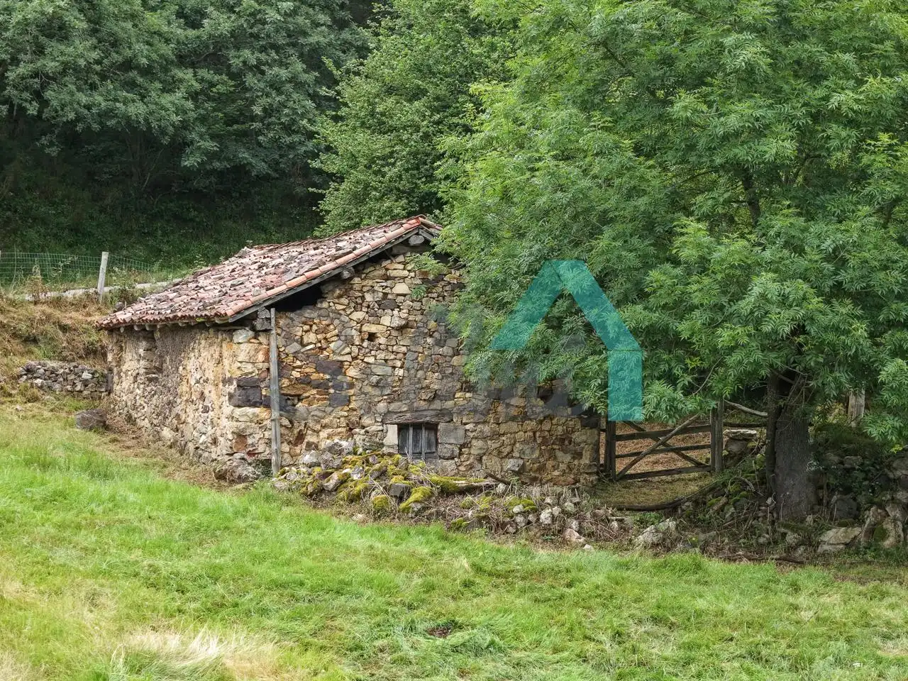 Land for sale in Proaza