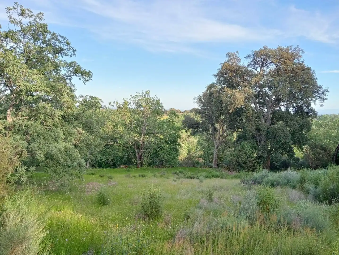 Terreno en venta en Villanueva de la Vera
