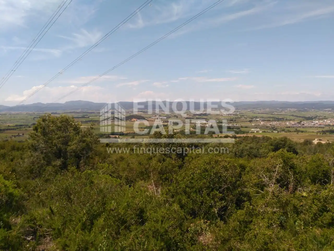 Terreny rústic en venda a Els Monjos, imagen 13