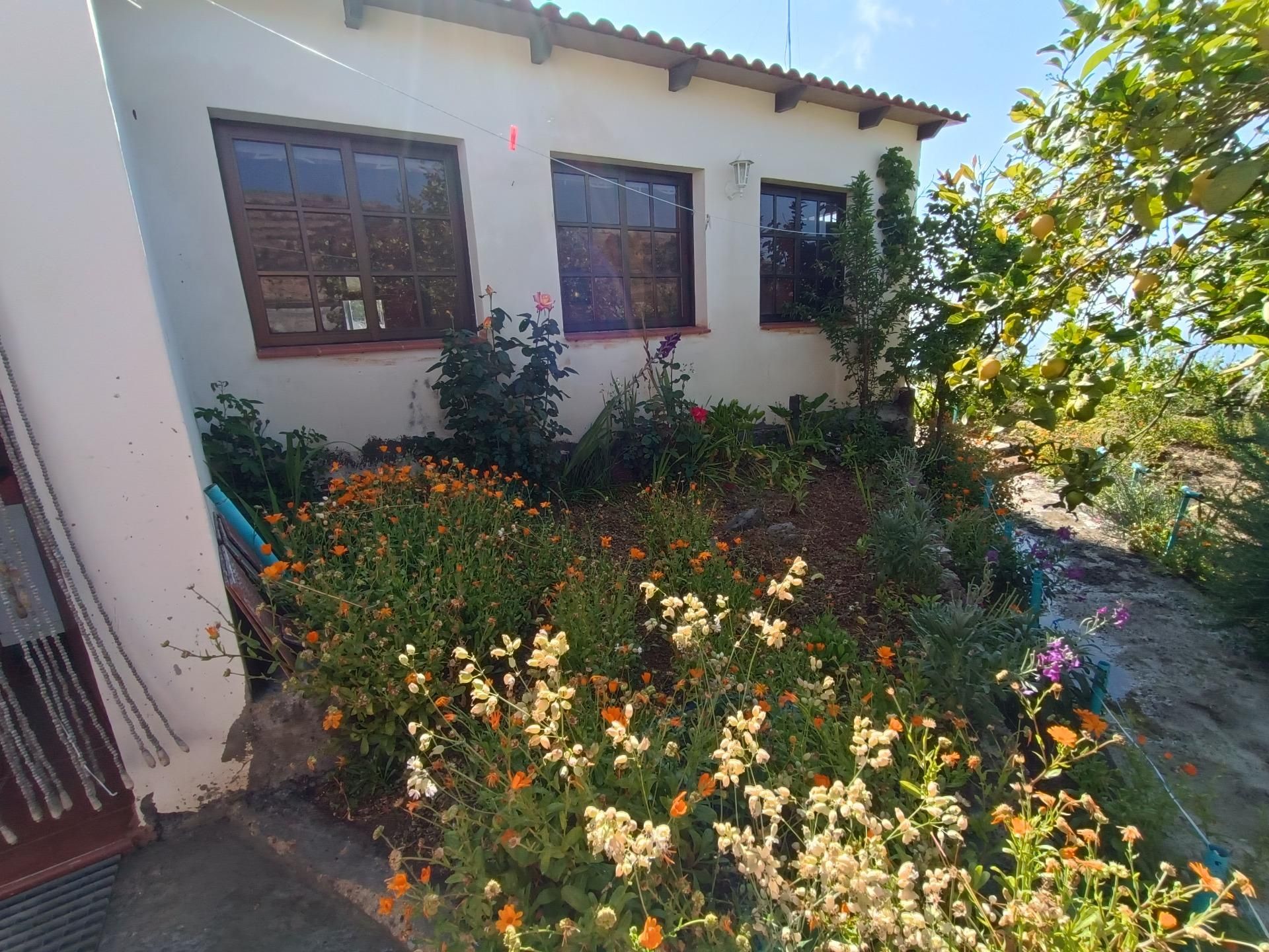 Jardí de Casa o xalet en venda en Fasnia amb Terrassa i Piscina